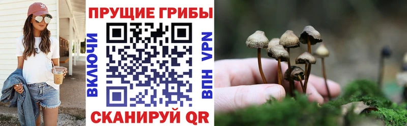 ссылка на мегу   Луховицы  Галлюциногенные грибы ЛСД 
