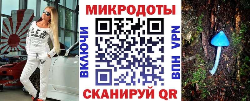 Псилоцибиновые грибы Psilocybine cubensis Луховицы